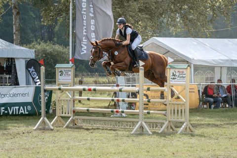 Springen beim Turnier